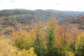 Du Ramsthal vers Mélanie, Breitkopf, Rappenfels, Saint-Vit, Greifenstein