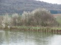 berge du canal de St-Aignan