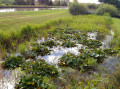 Berges du canal à Belleville