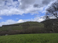 Rundtour von Britzingen zur Ruine Neuenfels