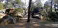 De Fontainebleau-Forêt à Fontainebleau-Avon par le Rocher Saint-Germain