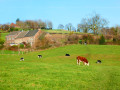 Balade au Pays de Herve, entre Aubel et Fourons