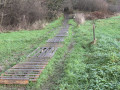 Bois de Champia : passage boueux