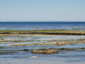 Bord de côte en direction de Brée les Bains