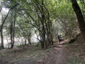 Bord de l'Ebre