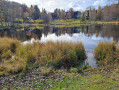 Lac Titisee depuis Hinterzarten