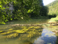 Bord du Doubs