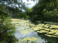 Bord du Doubs