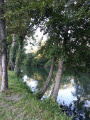 Bords de Charente