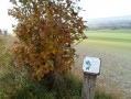 Borne sur la colline Saint Amador .