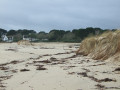 Le long de la Dune Domaniale de Mousterlin