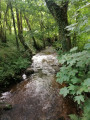 Du Vieil Ecotay à Montplaisir