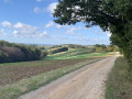 Campagne sur les côteaux de Roquemaure