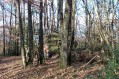 Cabane au fond des bois