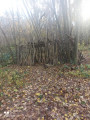 cabane dans le bois