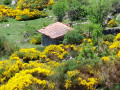 Cabane de berger