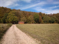 Cabane de chasse