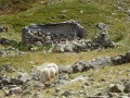 Cabane de Tirière