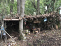 Cabane des enfants