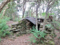 Cabane ruinée