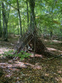 Cabane