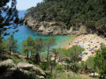 Cala Pola