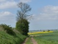 Calvaire sur le Chemin de la Fosse aux Loups