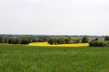 Campagne heugnoise vue de la Pataudière