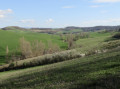 Campagne vallonnée