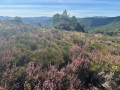 Campagne