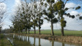 De Crouy-sur-Ourcq &agrave; Isles-l&egrave;s-Meldeuses entre Ourcq et Marne