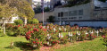 Un tour au cimetière de Vaugirard