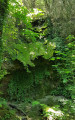 Cascade de Bonnan en période sèche.