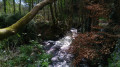 Les chemins creux de Lanninguer