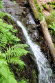 Cascade de la Crache, Rocher et Dolmen de la Hazelle