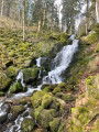 La Cascade de la Serva à partir du Champ du Feu