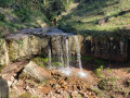 cascade en bord de sentier