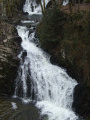 Cascade