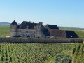 Nuits St Georges to Gevrey Chambertin - Route des Grands Crus