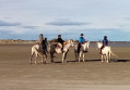 Cavaliers sur la plage