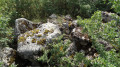 Site mégalithique de Baccon dit "Dolmen de la Mouise"