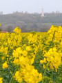 Les chartiaux depuis Villers-au-Bois