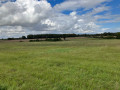 Champ, forêt, nuages