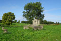 Chapelle Notre-Dame des Bruyères