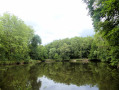 Chaponost - Parc du Boulard