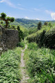 Charmant petit sentier le long du Mas de la Vidala