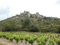 Autour du Château d'Aguilar