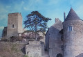 Château de Brancion