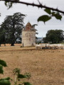 Château du Mazeau