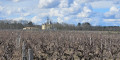 Château du vignoble des Graves